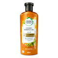 Shampoo Golden Moringa Oil 400 ml - Herbal Essences