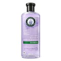 Shampoo Lavanda & Aceite de Almendras 400 ml - Herbal Essences