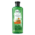 Shampoo Potent Aloe Vera & Mango 400 ml - Herbal Essences